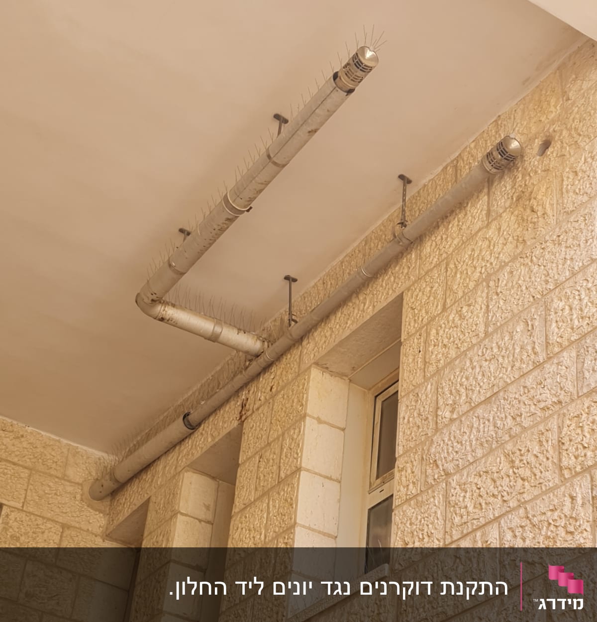 צינורות עם דוקרנים למניעת נחיתת יונים